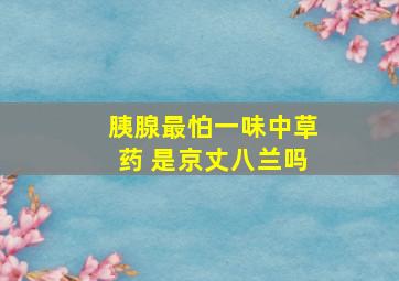 胰腺最怕一味中草药 是京丈八兰吗